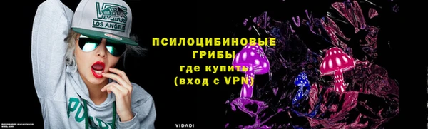 ПСИЛОЦИБИНОВЫЕ ГРИБЫ Абинск