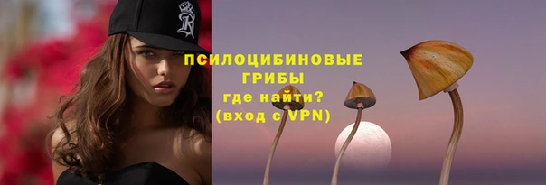 ПСИЛОЦИБИНОВЫЕ ГРИБЫ Абинск