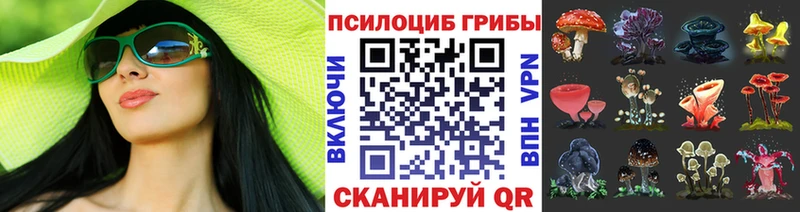 blacksprut tor  Северодвинск  Галлюциногенные грибы мицелий 